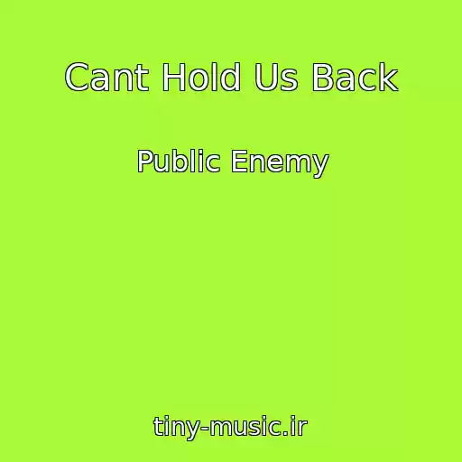 کاور آهنگ Cant Hold Us Back از Public Enemy