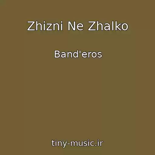 کاور آهنگ Zhizni Ne Zhalko از Band'eros