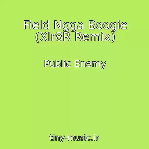 کاور آهنگ Field Ngga Boogie (Xlr8R Remix) از Public Enemy