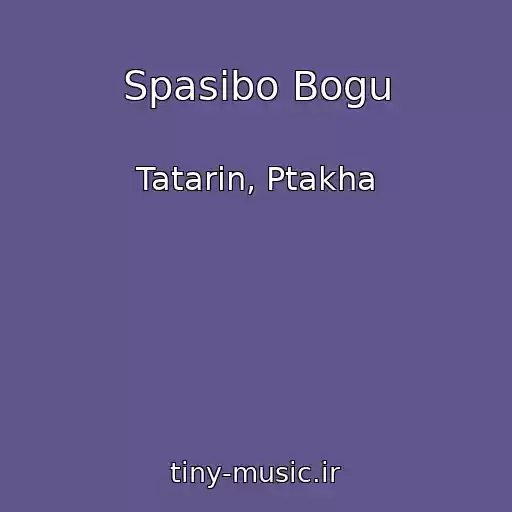 کاور آهنگ Spasibo Bogu از Tatarin, Ptakha