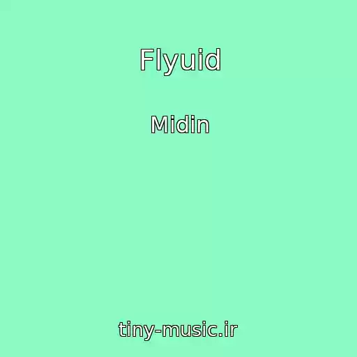 کاور آهنگ Flyuid از Midin