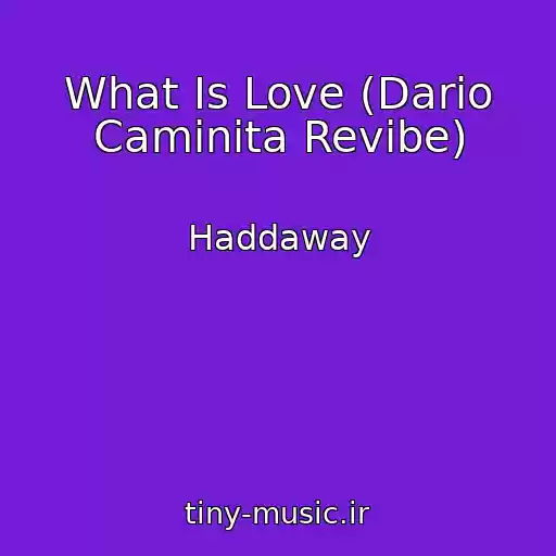 کاور آهنگ What Is Love (Dario Caminita Revibe) از Haddaway