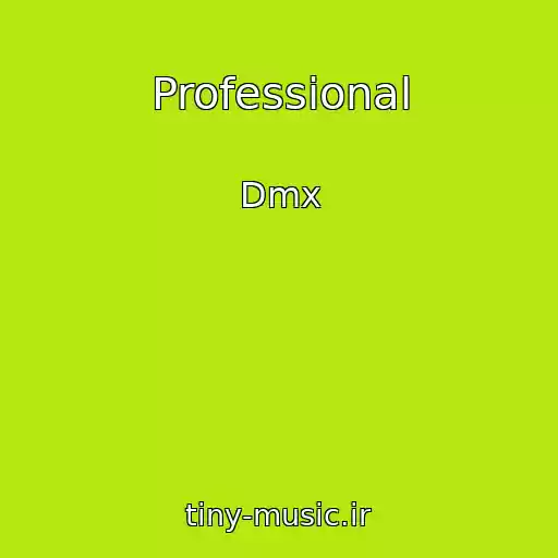 کاور آهنگ Professional از Dmx