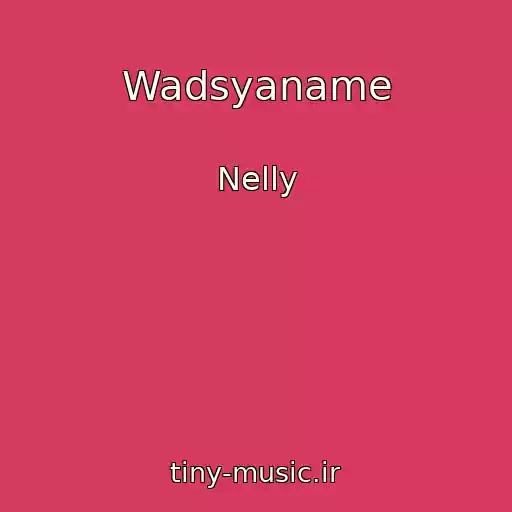 کاور آهنگ Wadsyaname از Nelly