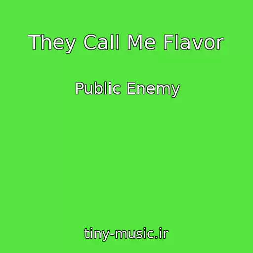کاور آهنگ They Call Me Flavor از Public Enemy