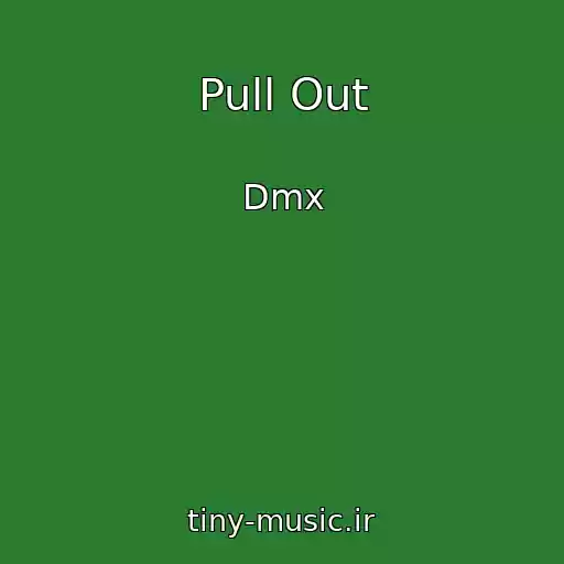 کاور آهنگ Pull Out از Dmx