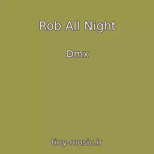 کاور آهنگ Rob All Night از Dmx