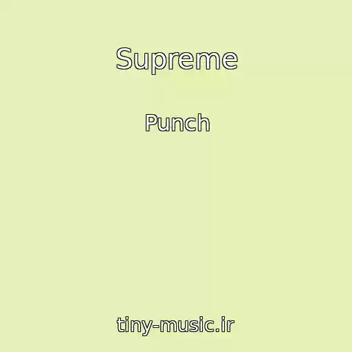 کاور آهنگ Supreme از Punch