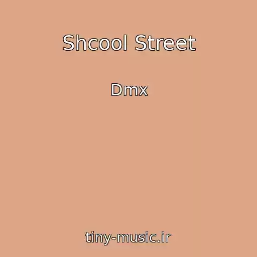 کاور آهنگ Shcool Street از Dmx