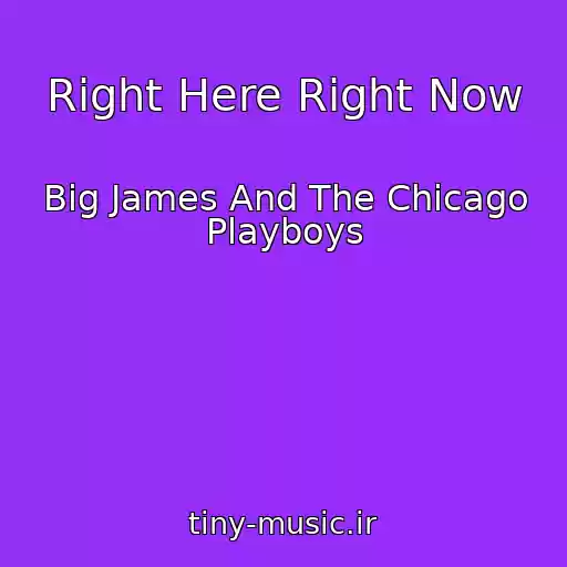 کاور آهنگ Right Here Right Now از Big James And The Chicago Playboys