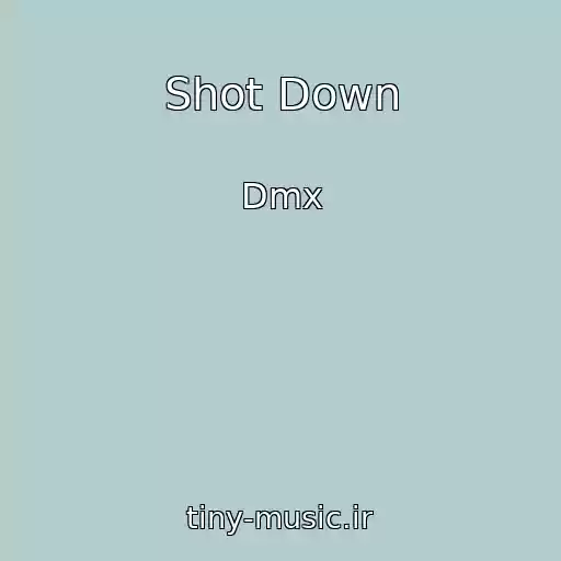 کاور آهنگ Shot Down از Dmx