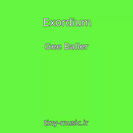 کاور آهنگ Exordium از Gee Baller