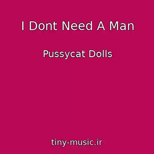 کاور آهنگ I Dont Need A Man از Pussycat Dolls