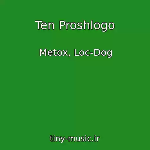 کاور آهنگ Ten Proshlogo از Metox, Loc-Dog