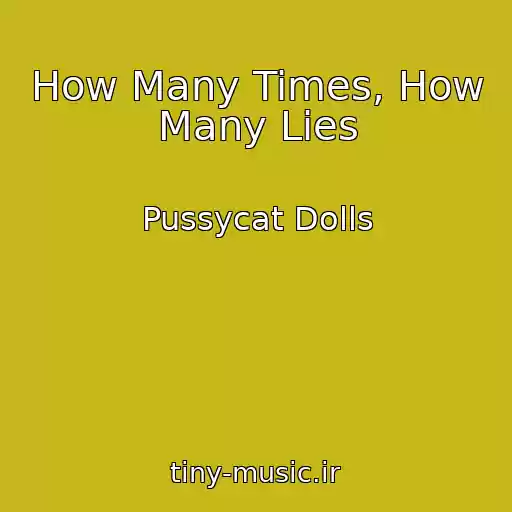کاور آهنگ How Many Times, How Many Lies از Pussycat Dolls