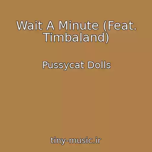 کاور آهنگ Wait A Minute (Feat. Timbaland) از Pussycat Dolls