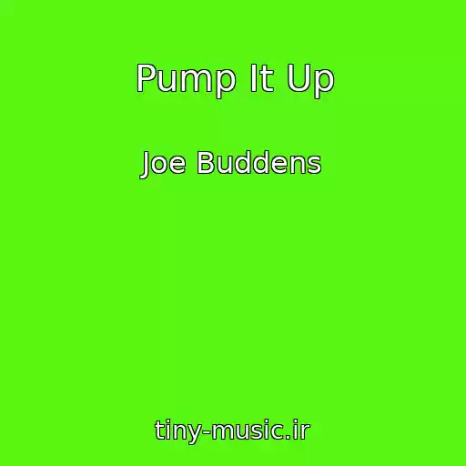 کاور آهنگ Pump It Up از Joe Buddens
