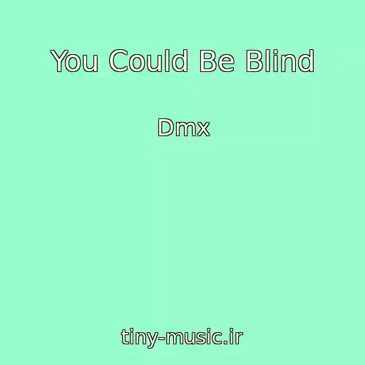کاور آهنگ You Could Be Blind از Dmx