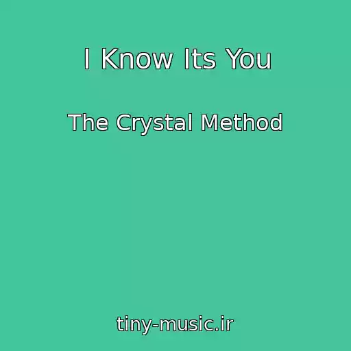 کاور آهنگ I Know Its You از The Crystal Method