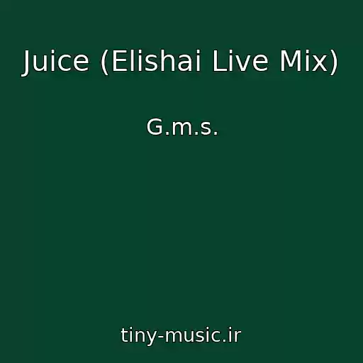 کاور آهنگ Juice (Elishai Live Mix) از G.m.s.