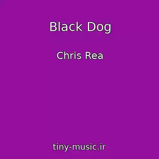 کاور آهنگ Black Dog از Chris Rea