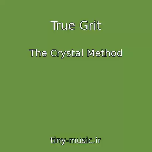 کاور آهنگ True Grit از The Crystal Method