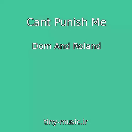کاور آهنگ Cant Punish Me از Dom And Roland