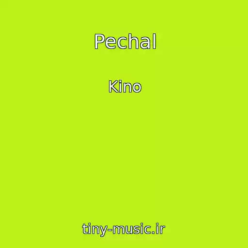 کاور آهنگ Pechal از Kino