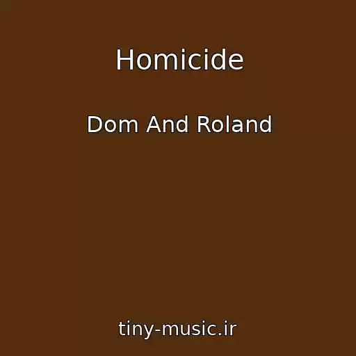 کاور آهنگ Homicide از Dom And Roland