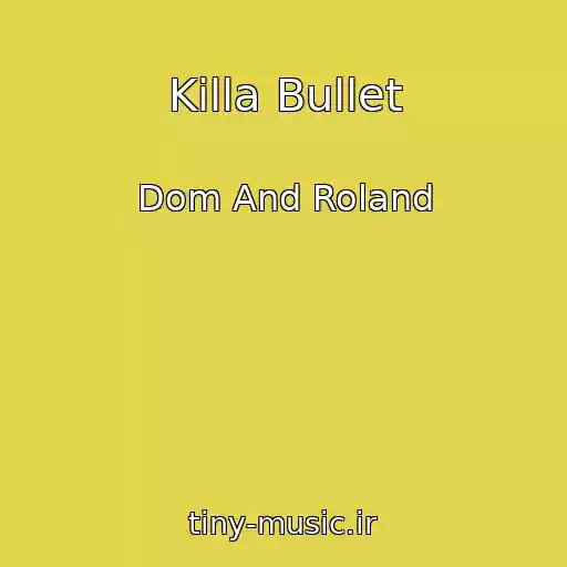کاور آهنگ Killa Bullet از Dom And Roland