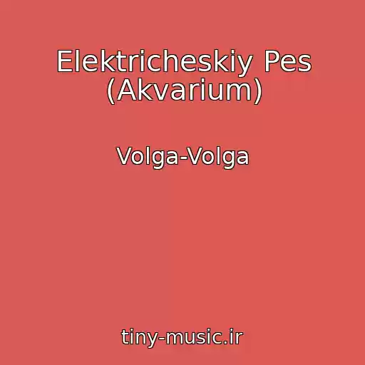 کاور آهنگ Elektricheskiy Pes (Akvarium) از Volga-Volga