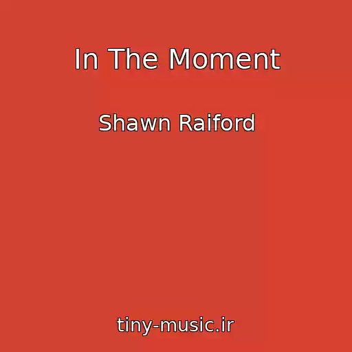 کاور آهنگ In The Moment از Shawn Raiford