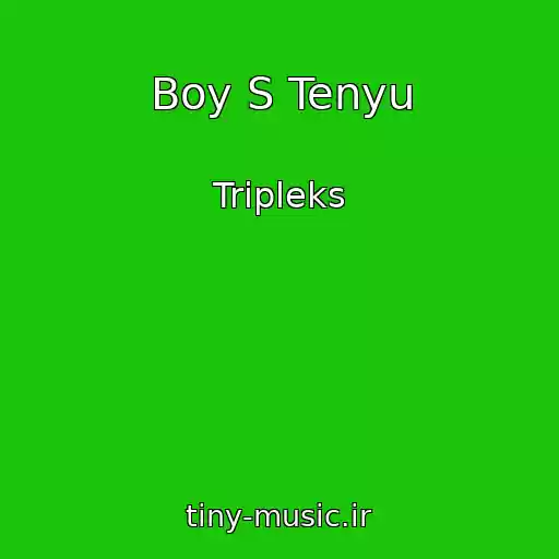کاور آهنگ Boy S Tenyu از Tripleks