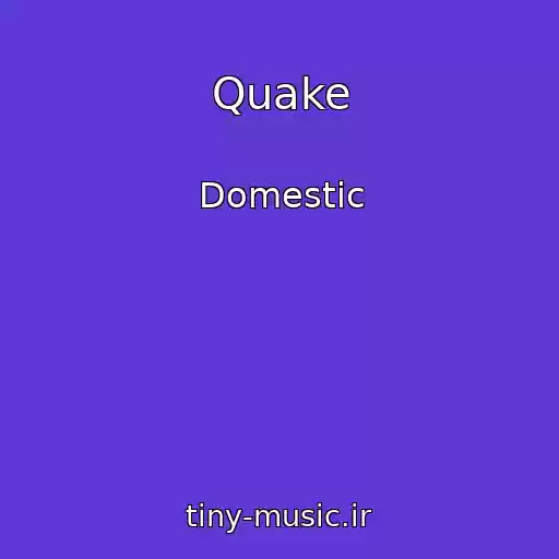 کاور آهنگ Quake از Domestic