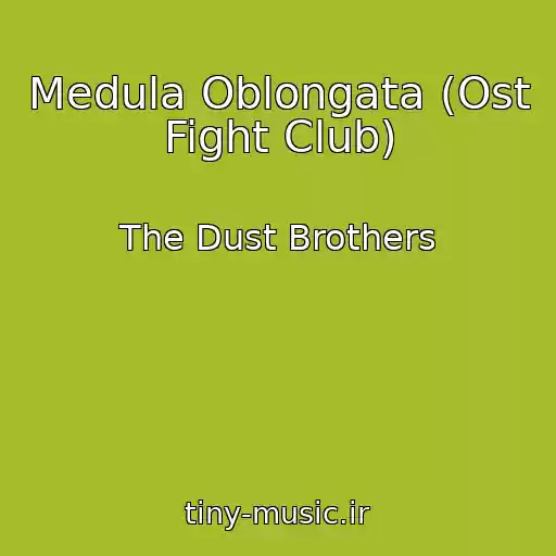 کاور آهنگ Medula Oblongata (Ost Fight Club) از The Dust Brothers