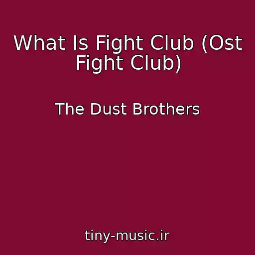 کاور آهنگ What Is Fight Club (Ost Fight Club) از The Dust Brothers