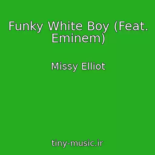 کاور آهنگ Funky White Boy (Feat. Eminem) از Missy Elliot