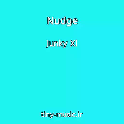 کاور آهنگ Nudge از Junky Xl
