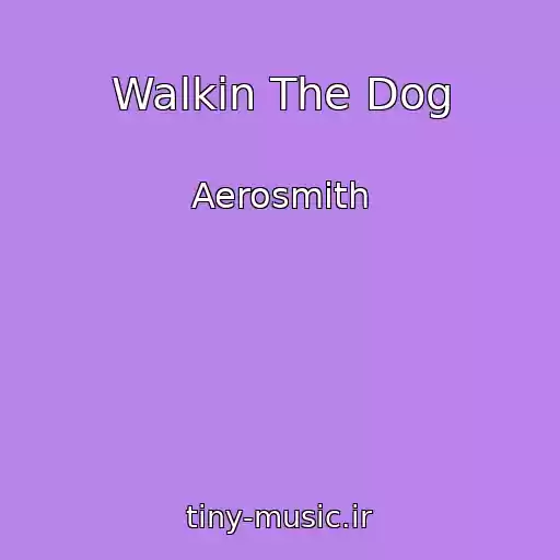 کاور آهنگ Walkin The Dog از Aerosmith