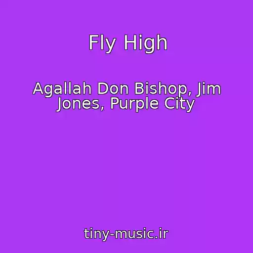 کاور آهنگ Fly High از Agallah Don Bishop, Jim Jones, Purple City
