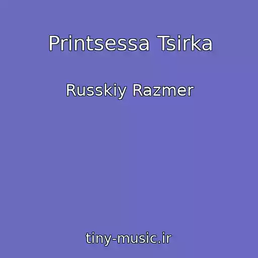 کاور آهنگ Printsessa Tsirka از Russkiy Razmer