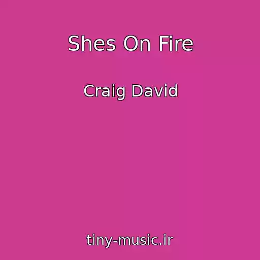 کاور آهنگ Shes On Fire از Craig David