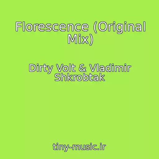کاور آهنگ Florescence (Original Mix) از Dirty Volt & Vladimir Shkrobtak