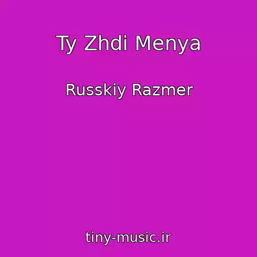 کاور آهنگ Ty Zhdi Menya از Russkiy Razmer