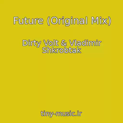کاور آهنگ Future (Original Mix) از Dirty Volt & Vladimir Shkrobtak