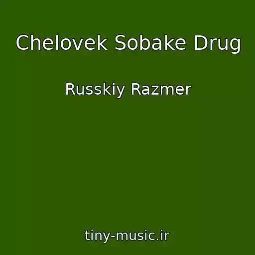 کاور آهنگ Chelovek Sobake Drug از Russkiy Razmer