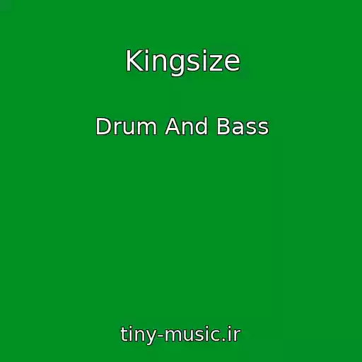کاور آهنگ Kingsize از Drum And Bass