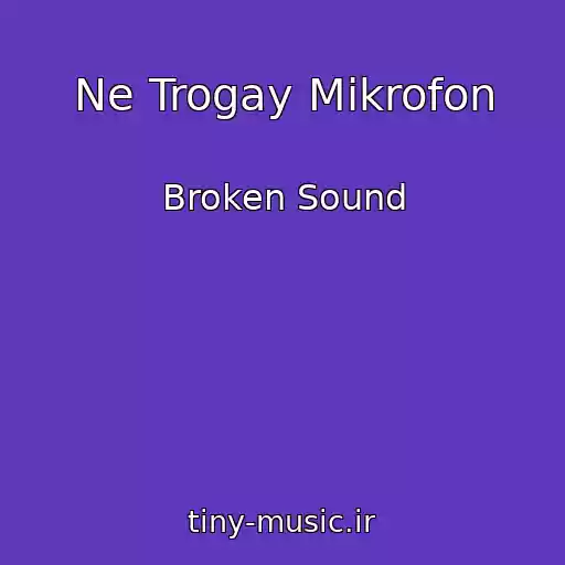 کاور آهنگ Ne Trogay Mikrofon از Broken Sound
