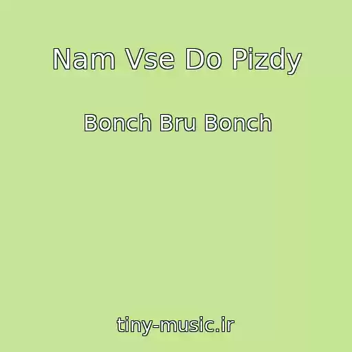 کاور آهنگ Nam Vse Do Pizdy از Bonch Bru Bonch