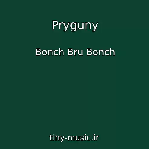 کاور آهنگ Pryguny از Bonch Bru Bonch